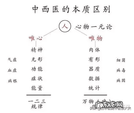 中医针灸人体模型品牌 中医人体模型图片