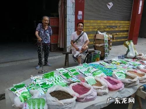 农村现在做啥比较好能挣钱 农村挣钱的好项目