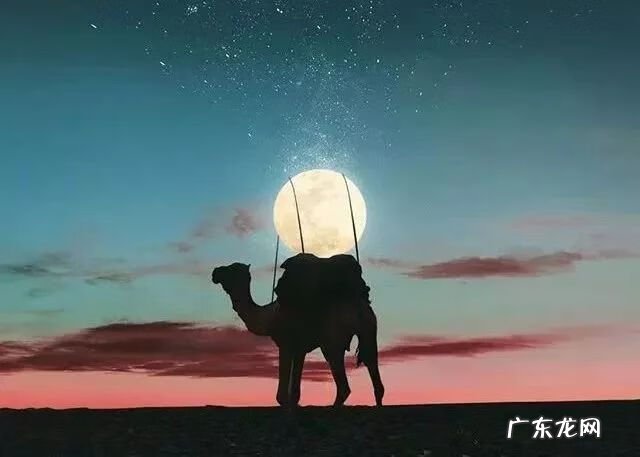 什么是真诚 真诚是什么意思