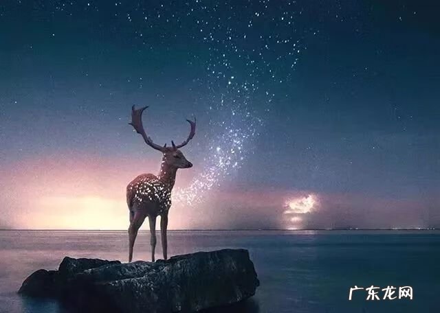 什么是真诚 真诚是什么意思