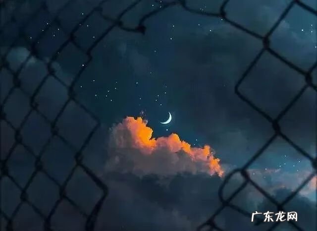 什么是真诚 真诚是什么意思