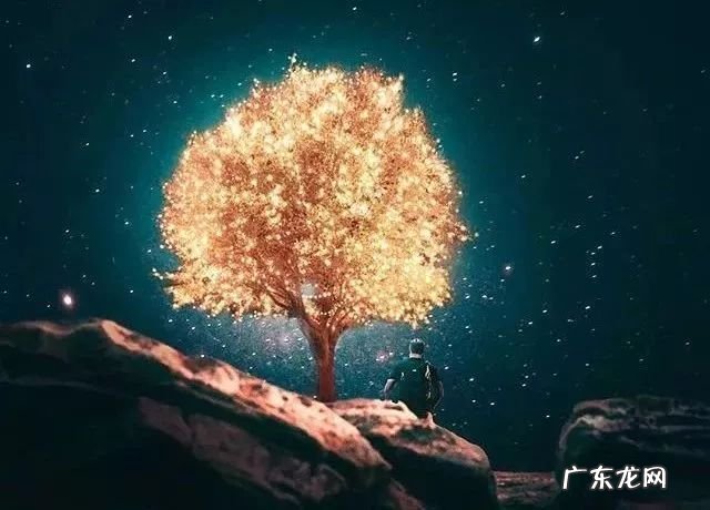 什么是真诚 真诚是什么意思