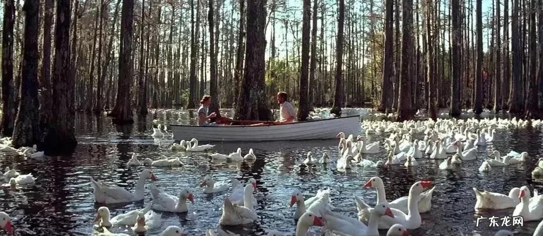 微博取关啥意思 取关是什么意思