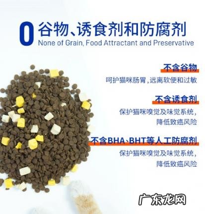 稍微好点的猫粮 简粒烘焙猫粮怎么样