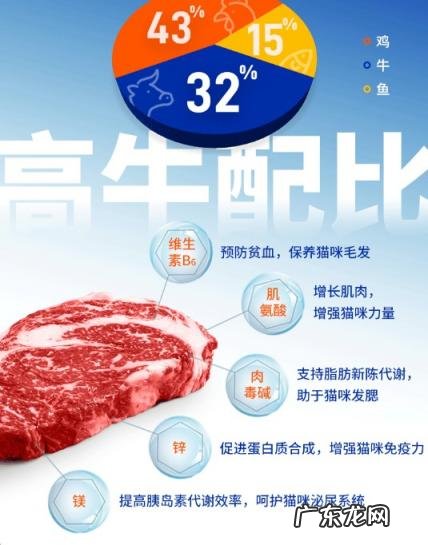 稍微好点的猫粮 简粒烘焙猫粮怎么样