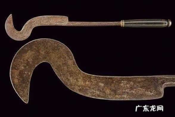 鳄鱼皮风水 蛇皮剑干什么用