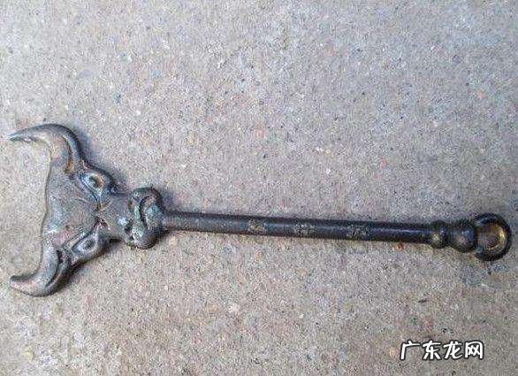 鳄鱼皮风水 蛇皮剑干什么用