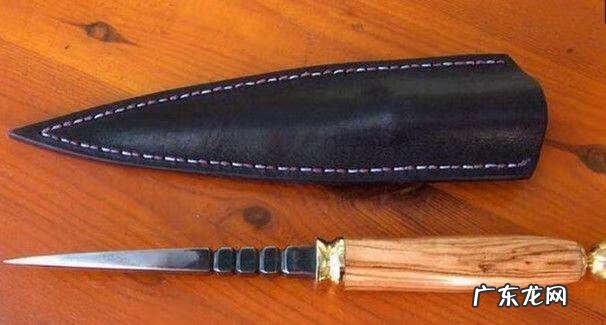 鳄鱼皮风水 蛇皮剑干什么用
