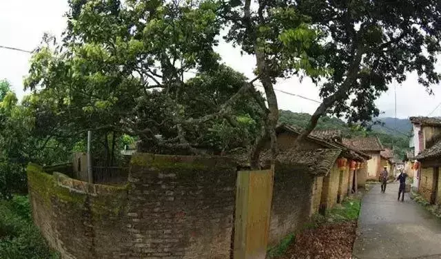 从化风水宝地在哪里 从化客家村风水宝地在哪里