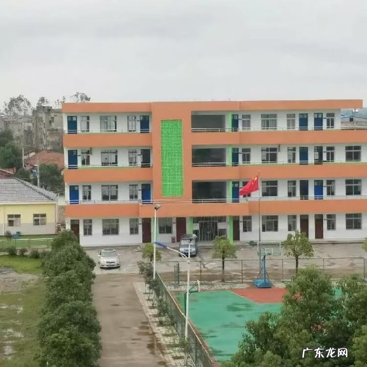 爱国的小学生作文 小学生爱国主义作文精选