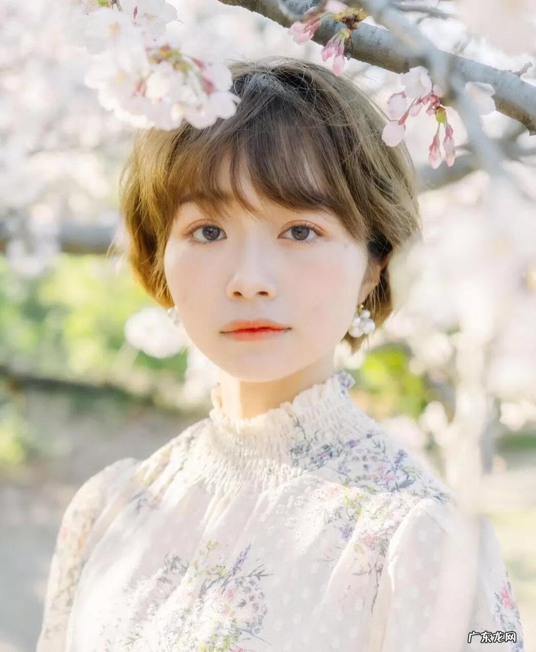 女生短发发型可爱 可爱短发发型女