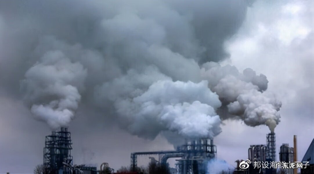 日本香鱼 香鱼真的是香的吗