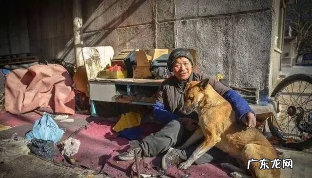 1962年饥荒怎么导致 1962 饥荒