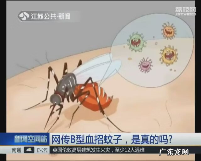 b型血为什么爱招蚊子 b型血招蚊子吗