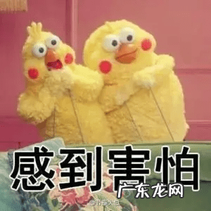 哪个牌子痱子粉安全好用 什么牌子的痱子粉最好