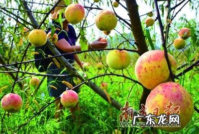 极品大富大贵风水宝地 连州大富大贵风水宝地
