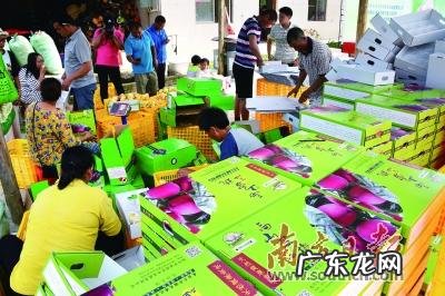 极品大富大贵风水宝地 连州大富大贵风水宝地