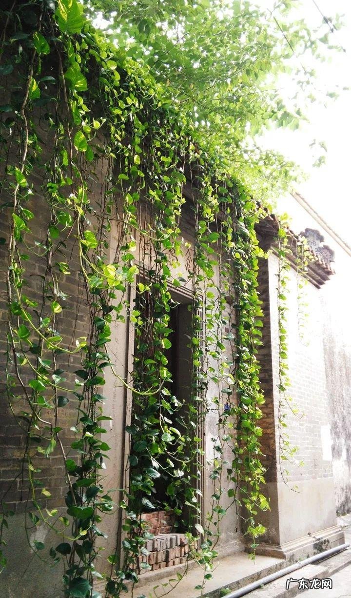 风水帘子挡到哪个位置最好 风水门帘能绑住吗