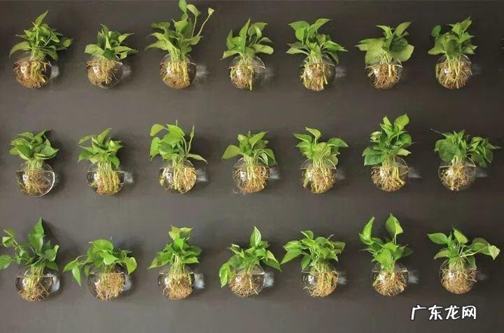 风水帘子挡到哪个位置最好 风水门帘能绑住吗