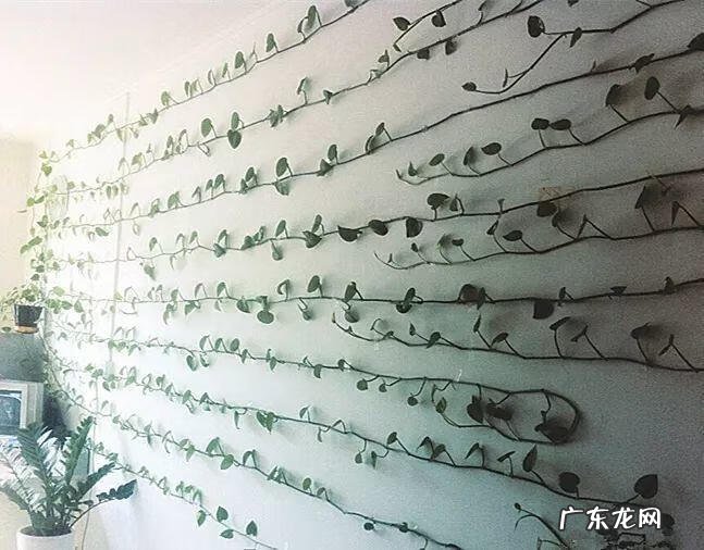 风水帘子挡到哪个位置最好 风水门帘能绑住吗