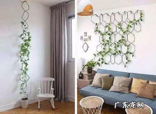 风水帘子挡到哪个位置最好 风水门帘能绑住吗