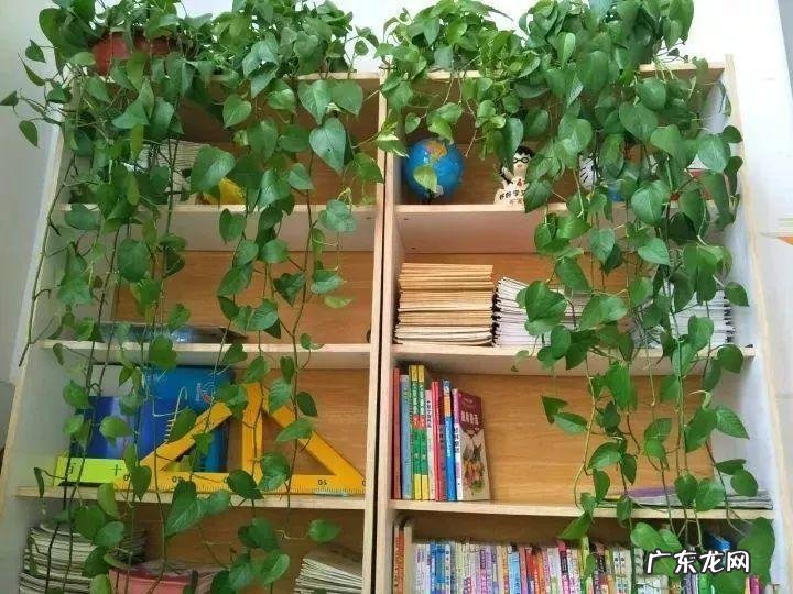 风水帘子挡到哪个位置最好 风水门帘能绑住吗