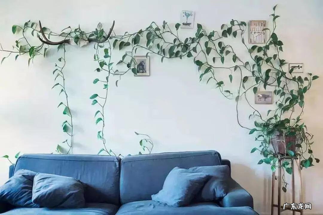 风水帘子挡到哪个位置最好 风水门帘能绑住吗