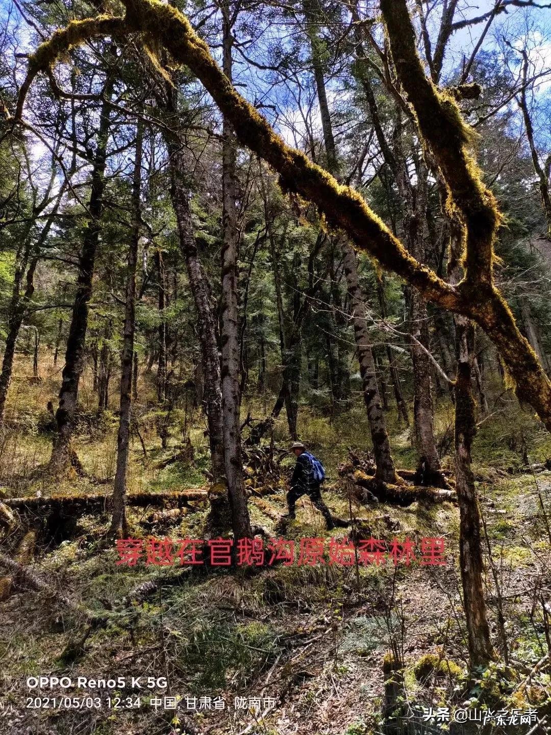 嫦娥是神仙 神仙道嫦娥和玲珑