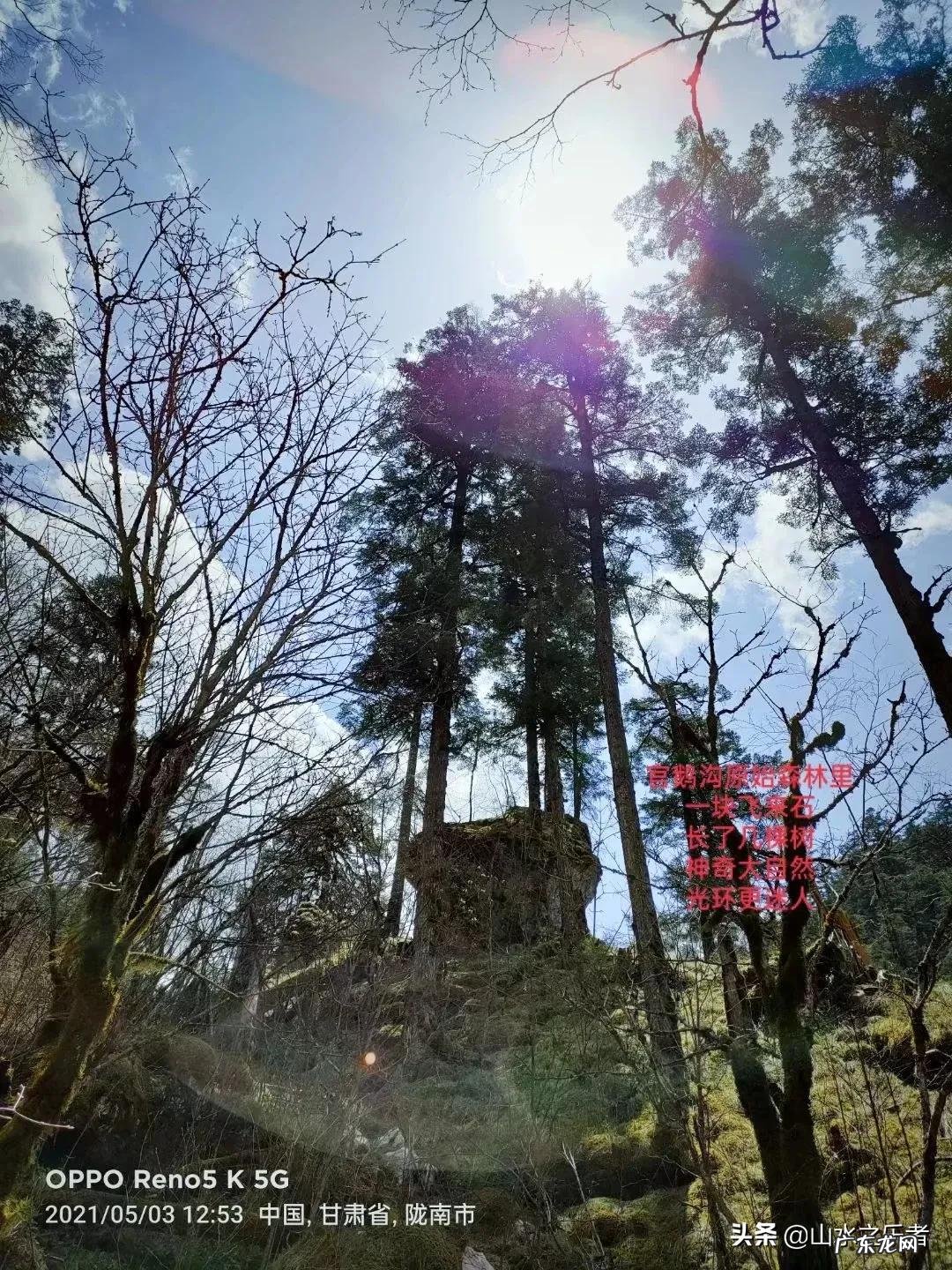 嫦娥是神仙 神仙道嫦娥和玲珑