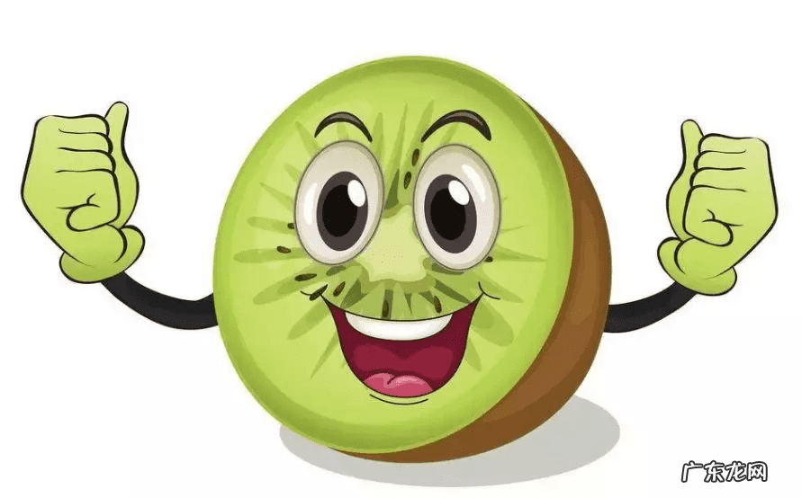 奇异果和猕猴桃的功效一样吗 奇异果和猕猴桃是一样的吗