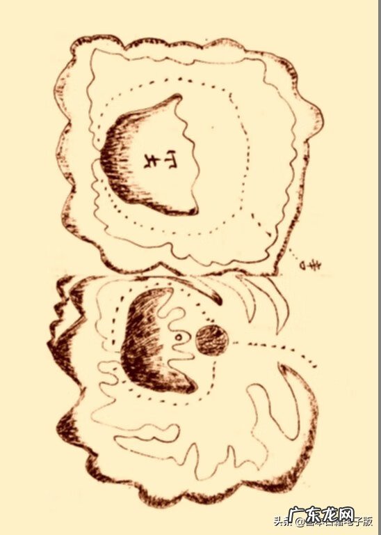 刘伯温留下的什么风水书 刘伯温写的风水书