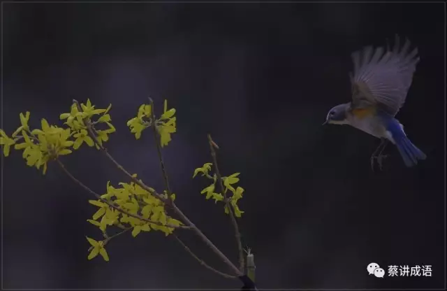 用草长莺飞造句子长的 草长莺飞造句子