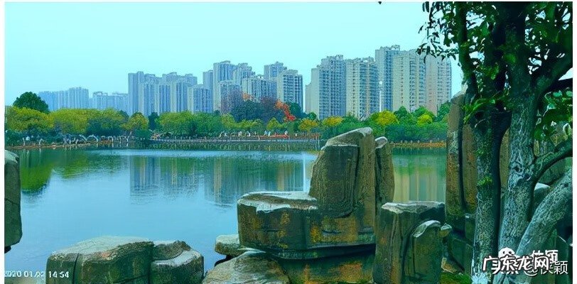 人力资源管理的定义是什么 人力资源管理的概念是什么