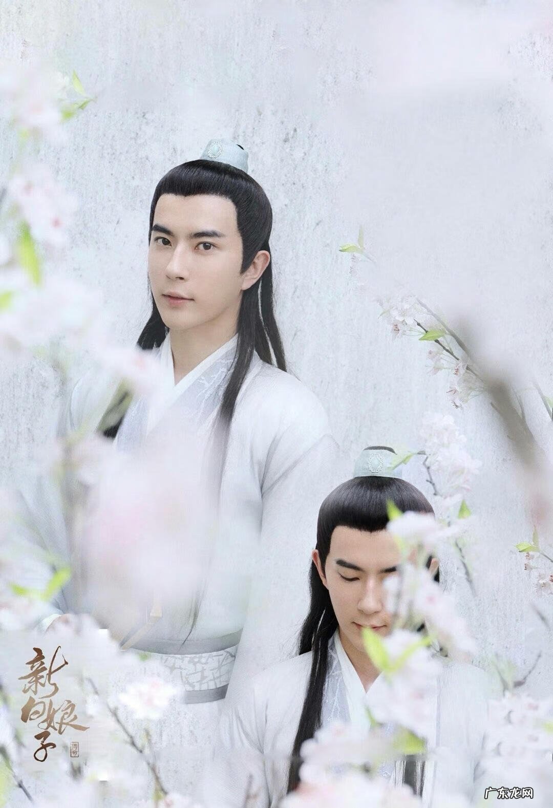 真仙奇缘免费阅读全文下载 真仙奇缘