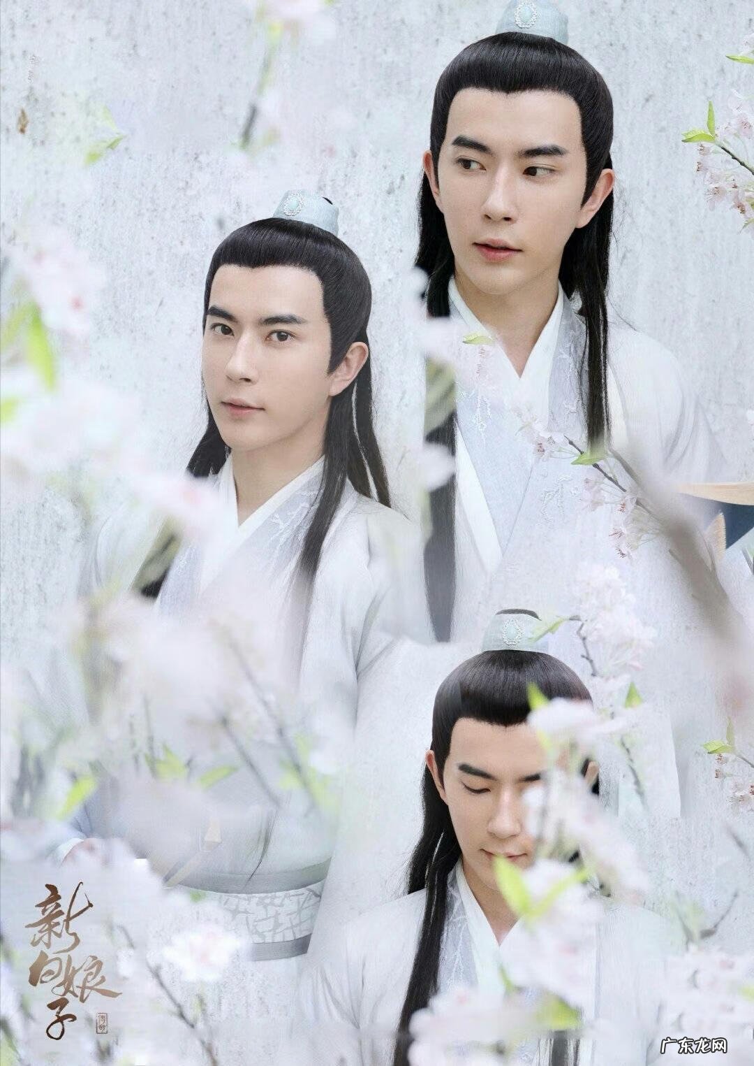 真仙奇缘免费阅读全文下载 真仙奇缘