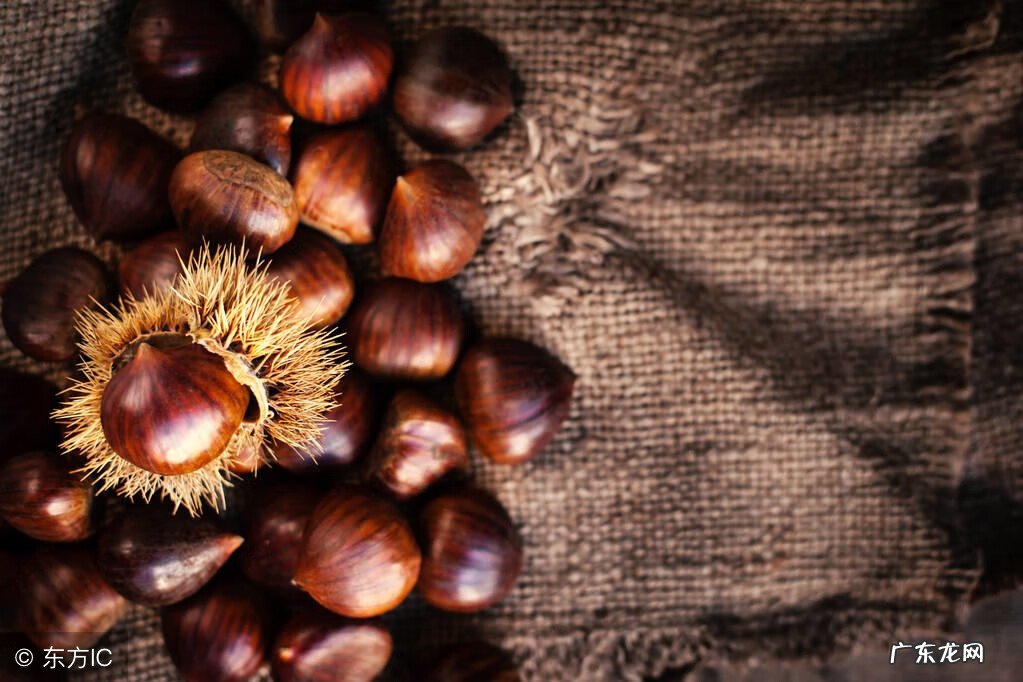 栗子不能和谁一起吃 栗子和什么不能吃在一起