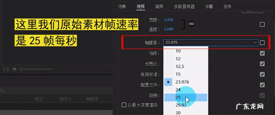 免费代理 视频代理剪辑