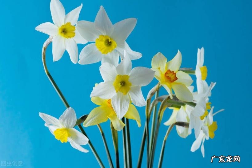 闽怎么读 拼音 赣怎么读拼音怎么写