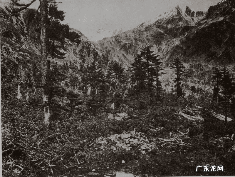 洛克王国月光桃源有什么宠物 洛克王国云烟桃源在哪里?