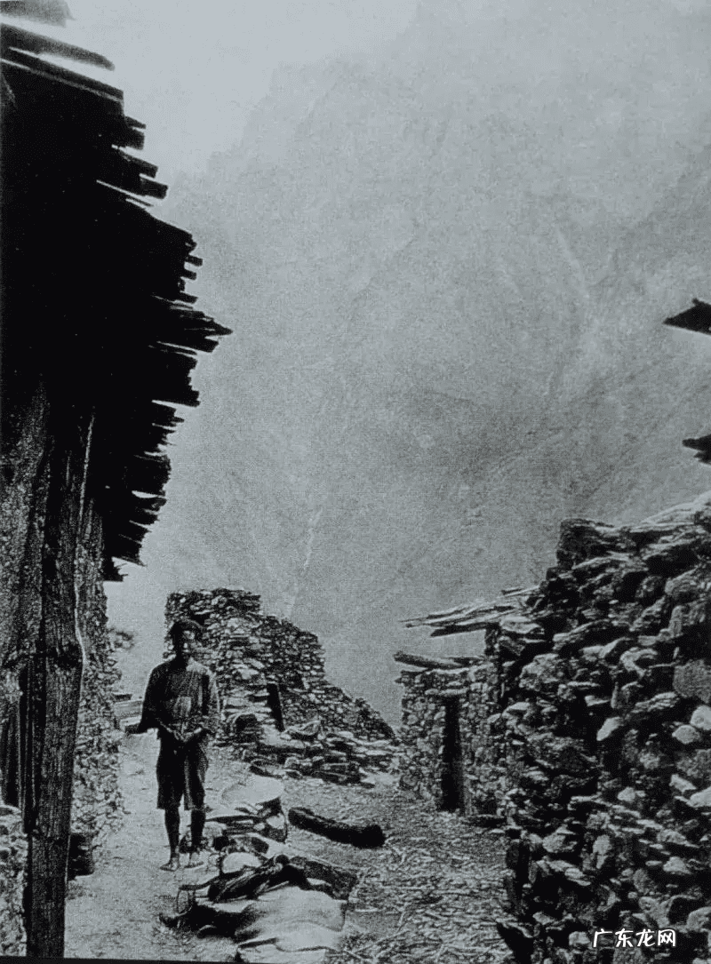 洛克王国月光桃源有什么宠物 洛克王国云烟桃源在哪里?