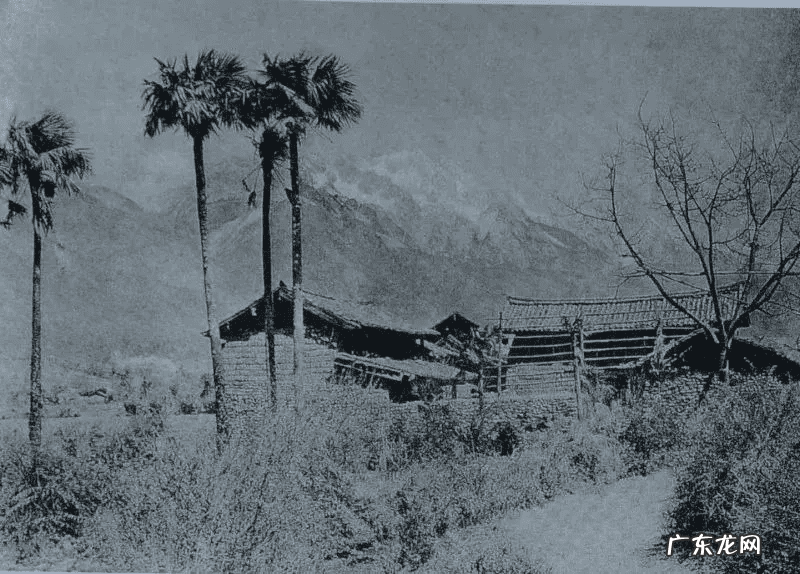 洛克王国月光桃源有什么宠物 洛克王国云烟桃源在哪里?