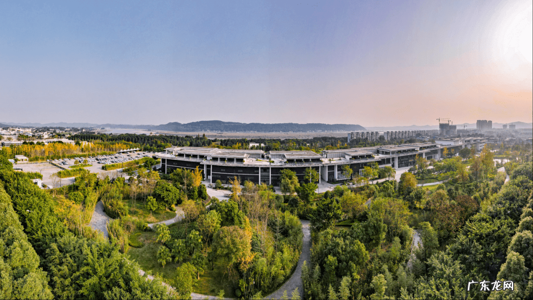 沱牌镇人民政府 沱牌镇风水