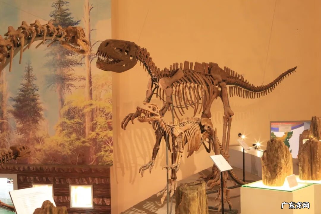 沱牌镇人民政府 沱牌镇风水