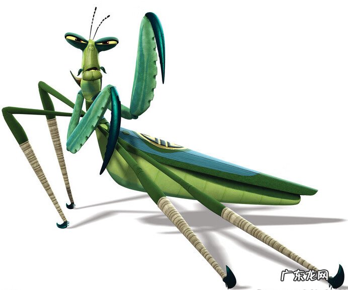 螳螂风水上代表什么 螳螂风水寓意