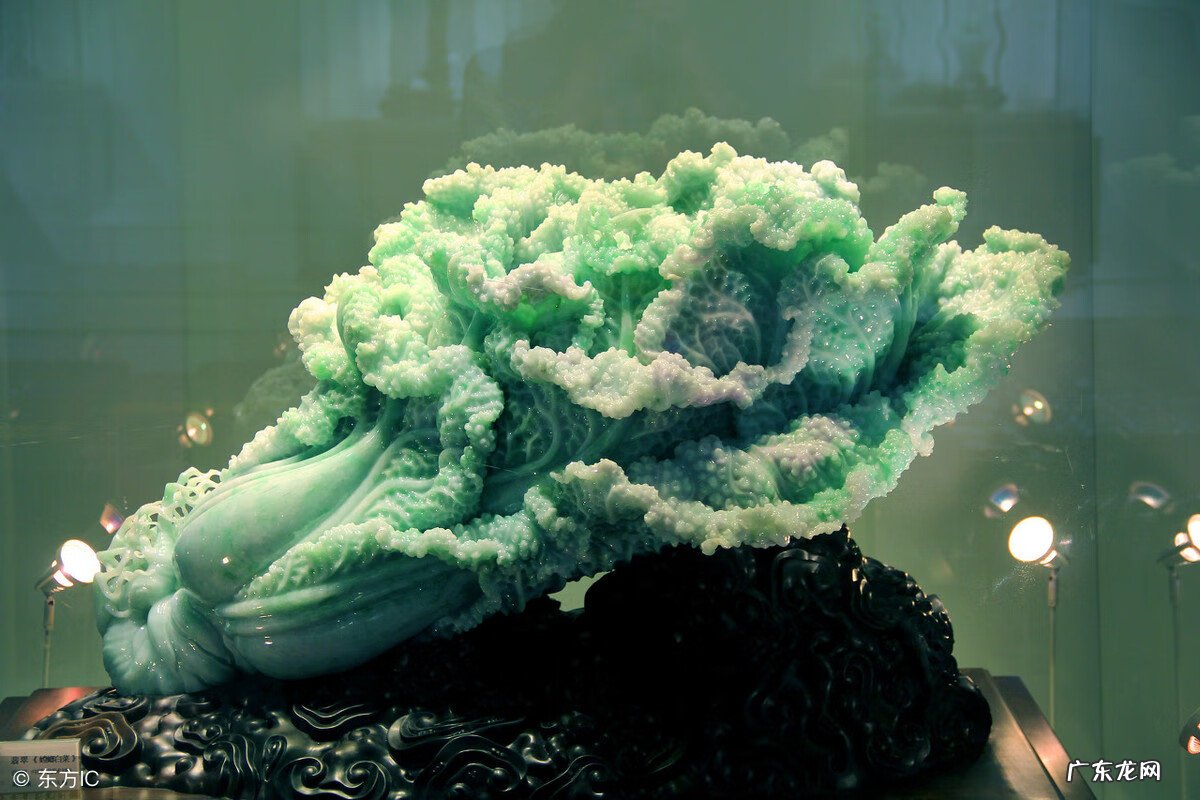 螳螂风水上代表什么 螳螂风水寓意