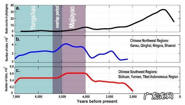 复旦大学 官网 复旦大学严实微博