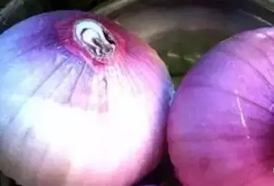 日常小妙招 小窍门小妙招