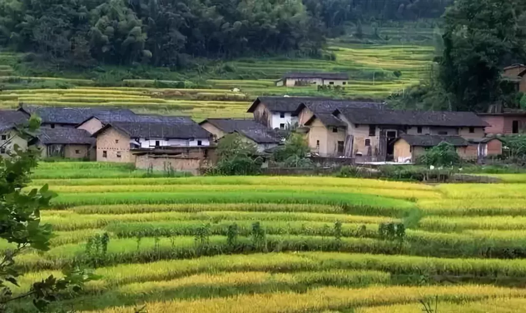 三僚曾氏风水吧 五华洛阳围曾氏风水