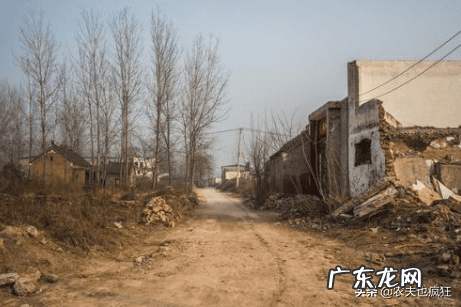 枣树栽在哪里好风水 枣子树风水方位