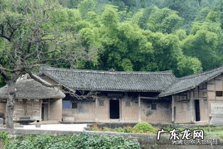 枣树栽在哪里好风水 枣子树风水方位